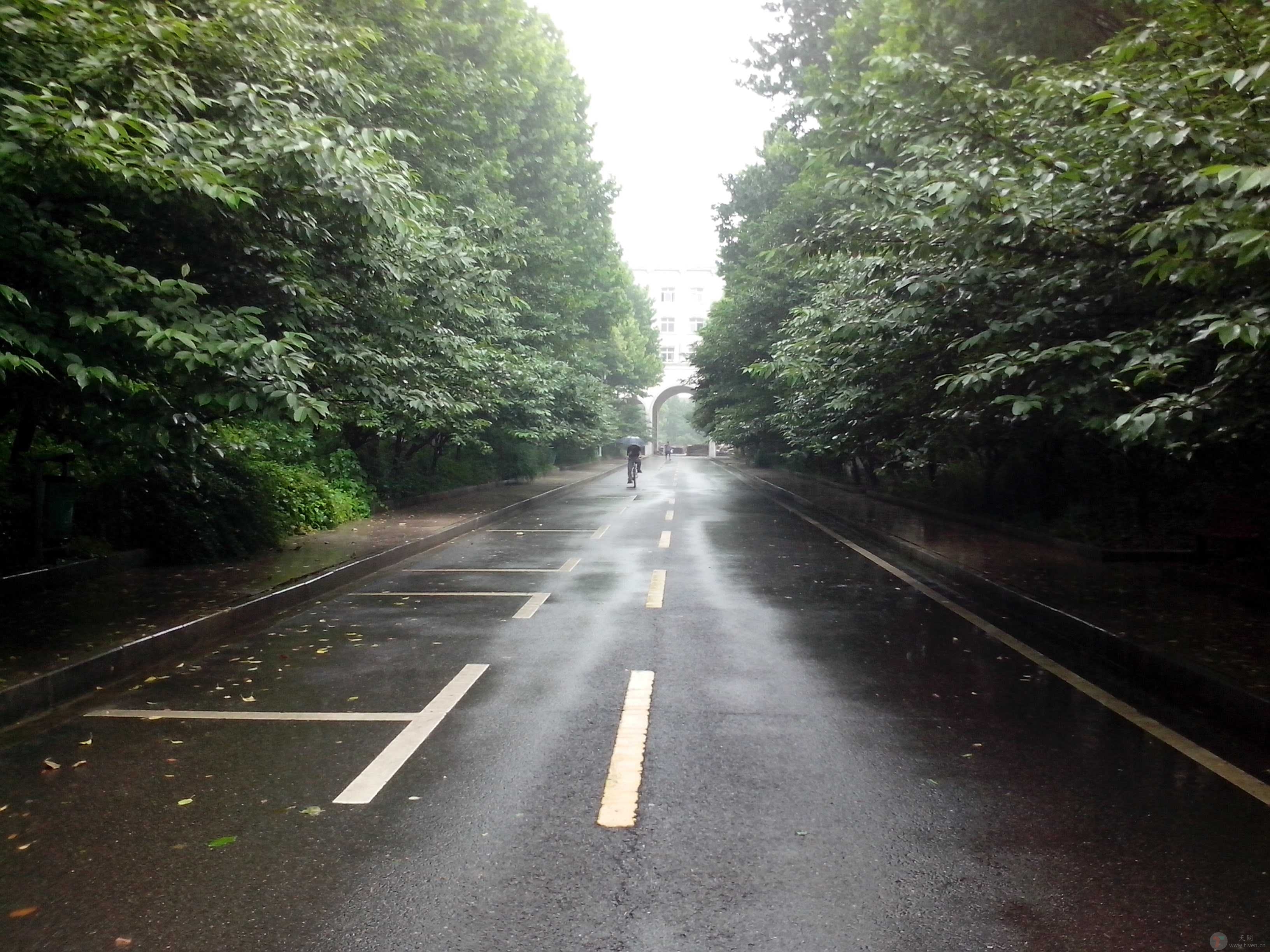 雨后清晨