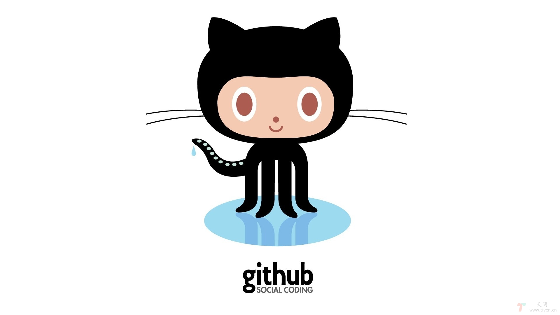 Github