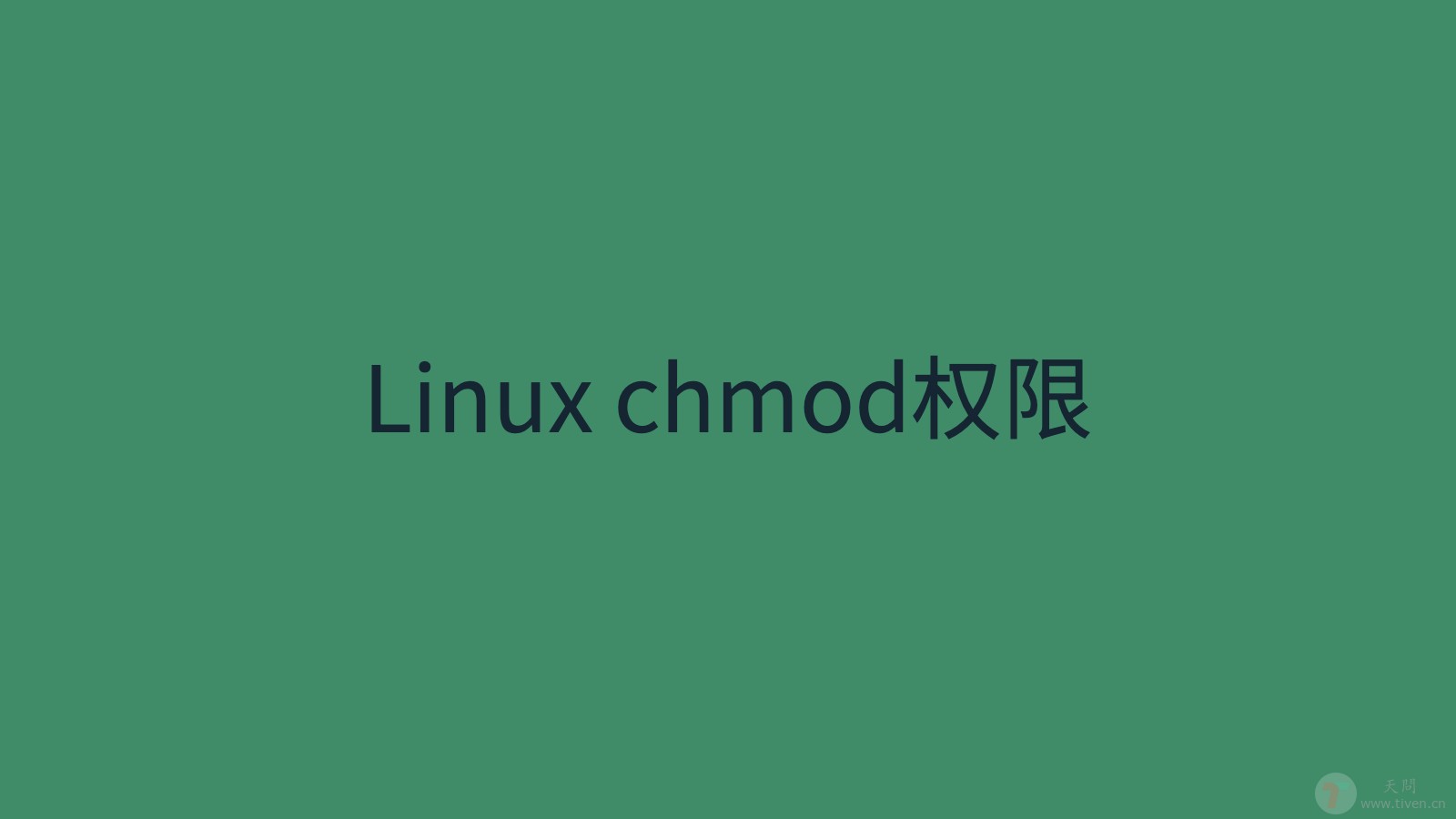 Linux chmod权限